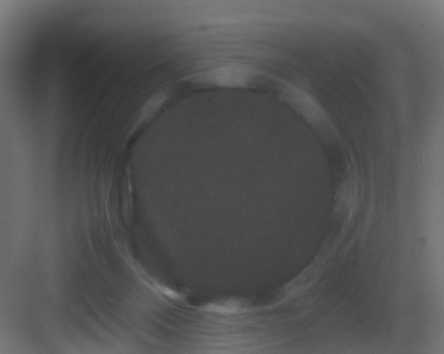 X0000082940120200702081634