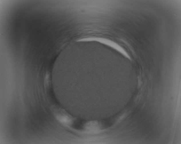 X0000082940123200702081633