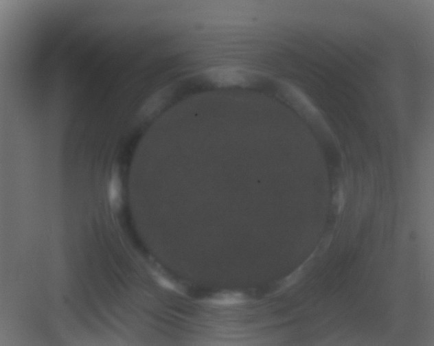 X0000082940124200702081633