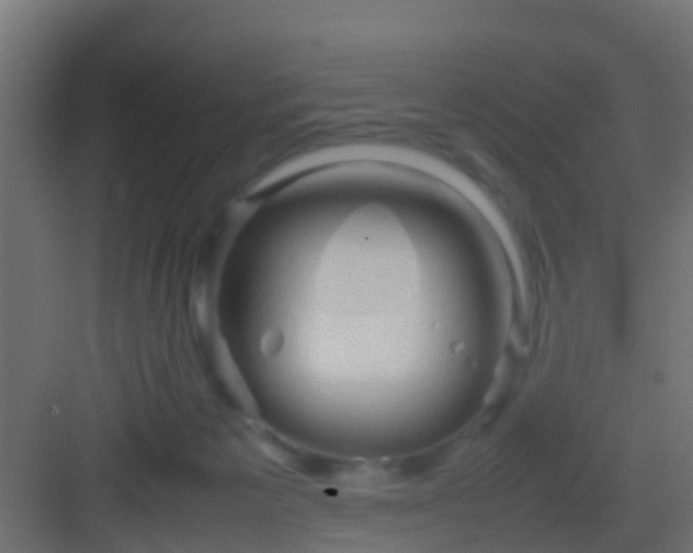 X0000082940125200702081633