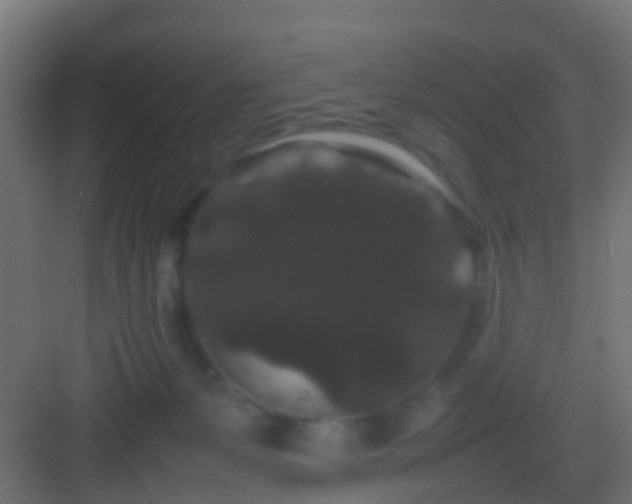 X0000082940127200702081633