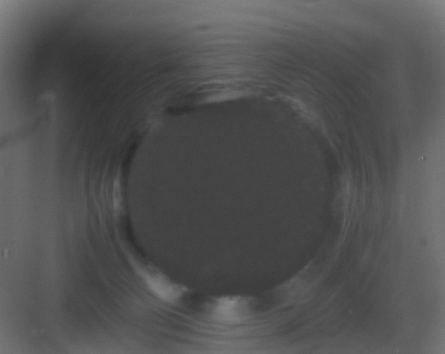 X0000082940130200702081633