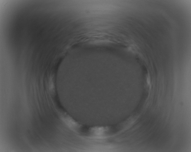 X0000082940131200702081633