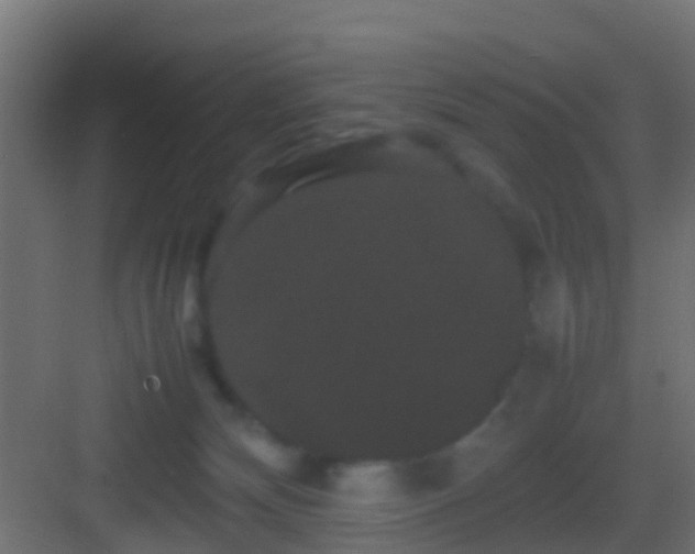 X0000082940132200702081633