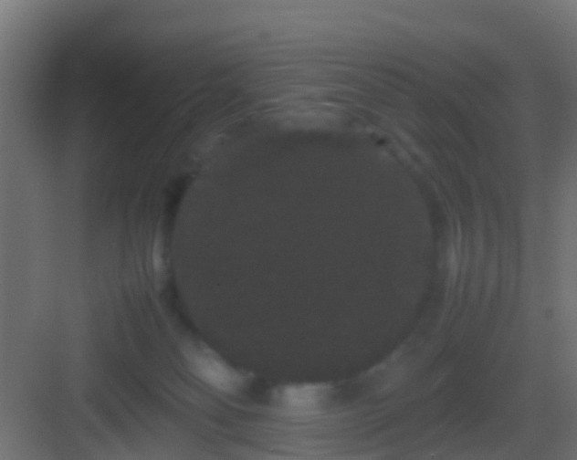 X0000082940134200702081633