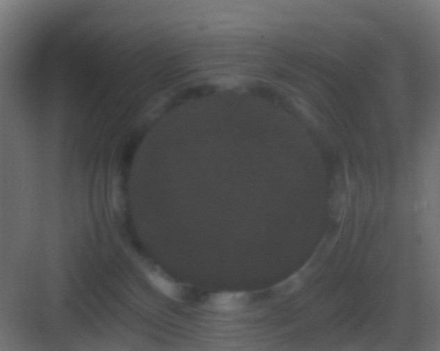 X0000082940136200702081633