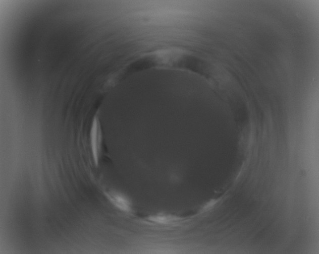 X0000082940137200702081633