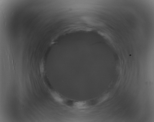 X0000082940139200702081633