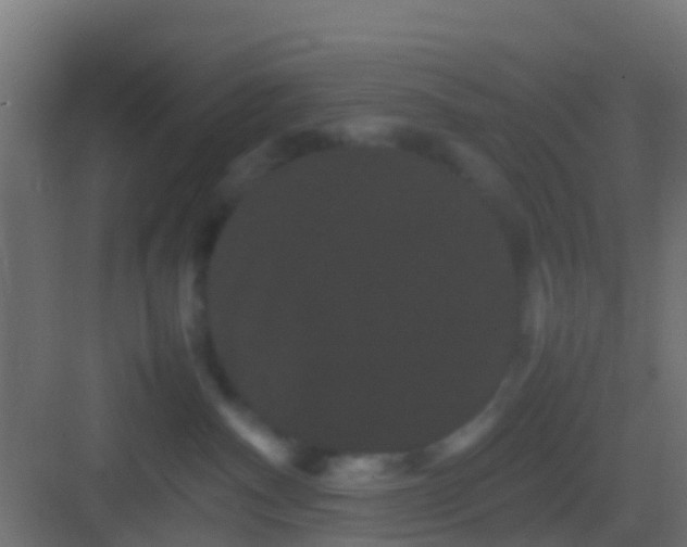 X0000082940140200702081633