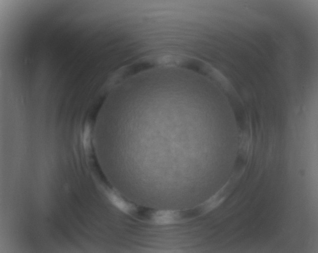 X0000082940142200702081633