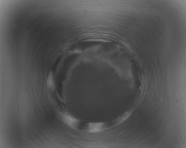 X0000082940143200702081633