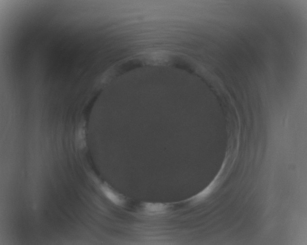 X0000082940144200702081633