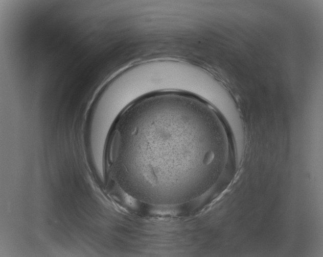 X0000082940146200702081632