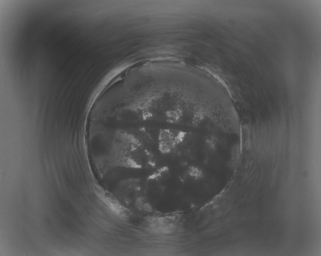 X0000082940147200702081632