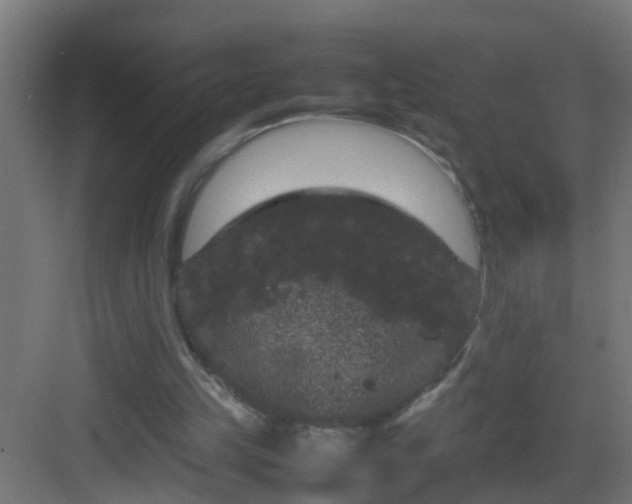 X0000082940149200702081632