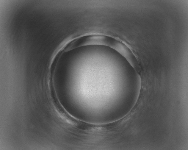 X0000082940152200702081632