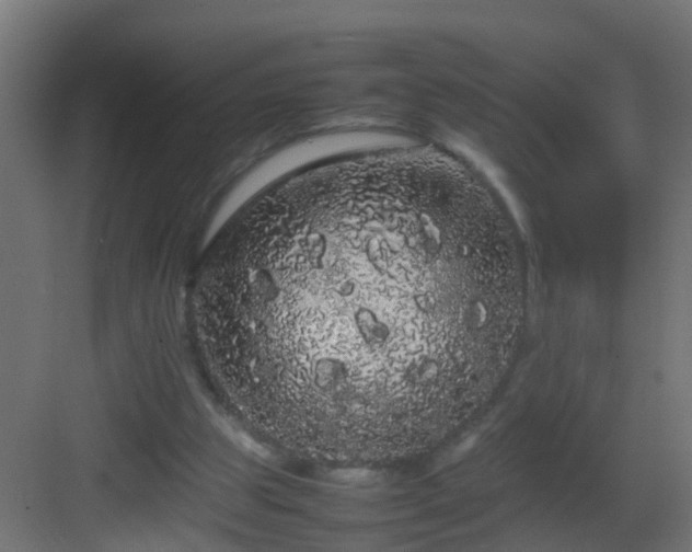 X0000082940153200702081632