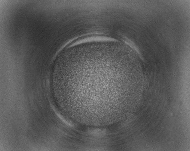 X0000082940155200702081632