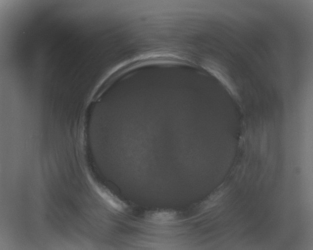 X0000082940156200702081633