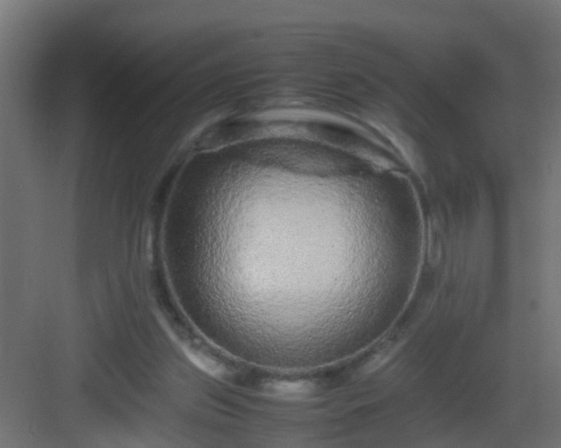 X0000082940157200702081633