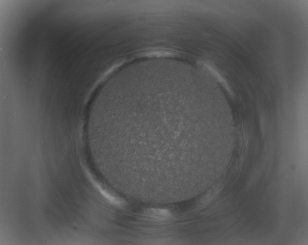 X0000082940159200702081633