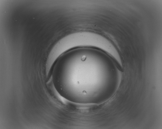 X0000082940162200702081633