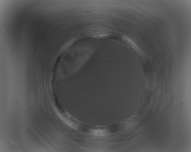 X0000082940163200702081633