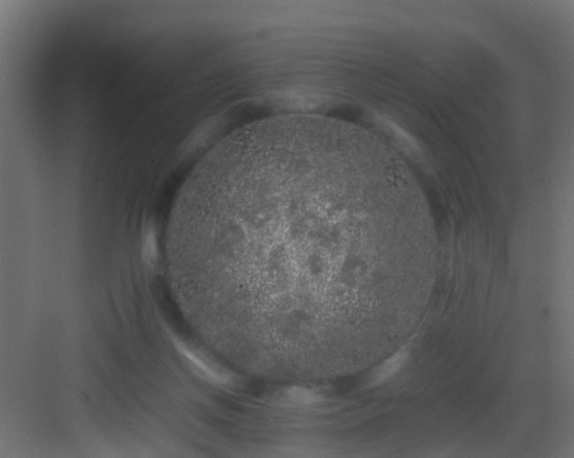 X0000082940166200702081633