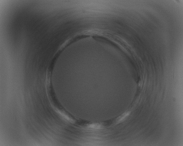 X0000082940168200702081633