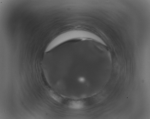 X0000082940169200702081633