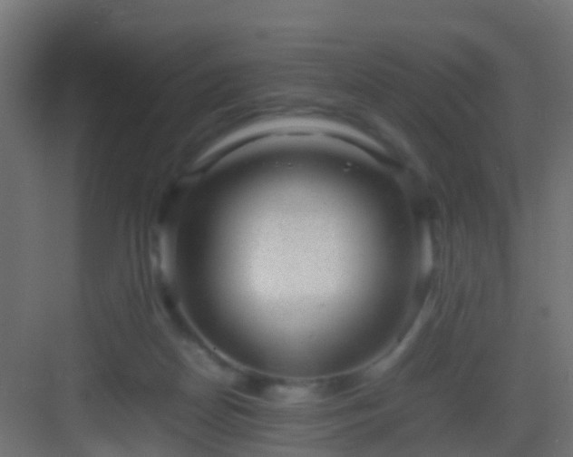 X0000082940170200702081633