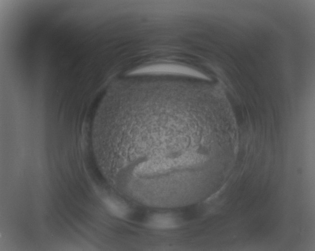 X0000082940171200702081633