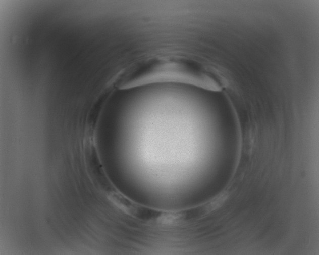 X0000082940172200702081633