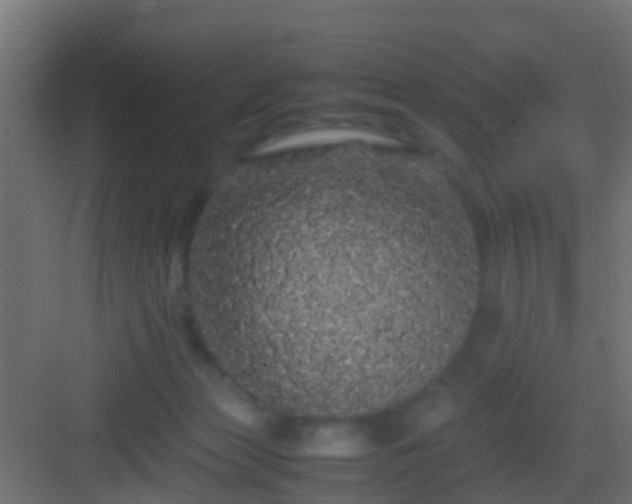 X0000082940173200702081633