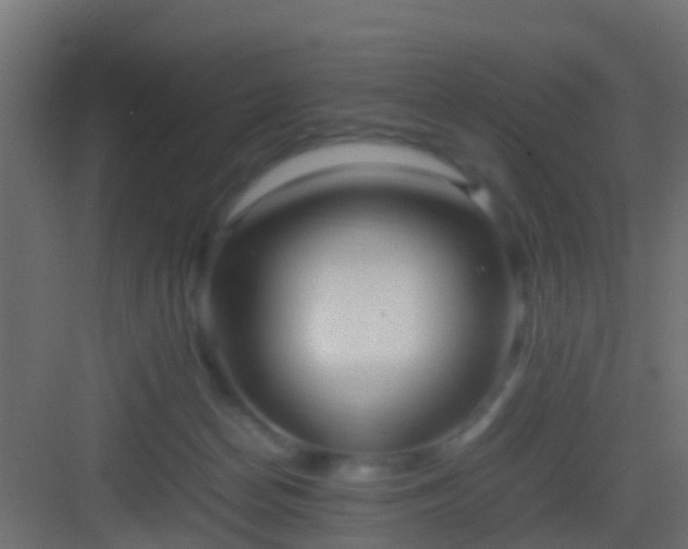 X0000082940174200702081633