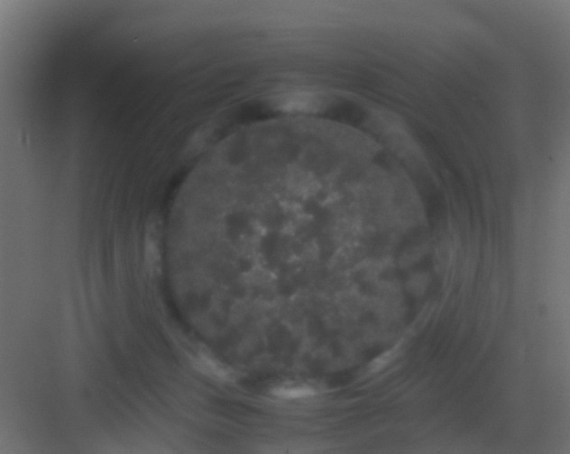 X0000082940175200702081633