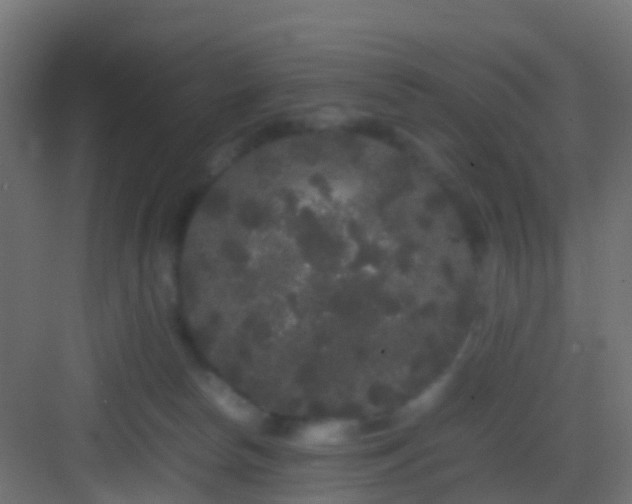 X0000082940178200702081633