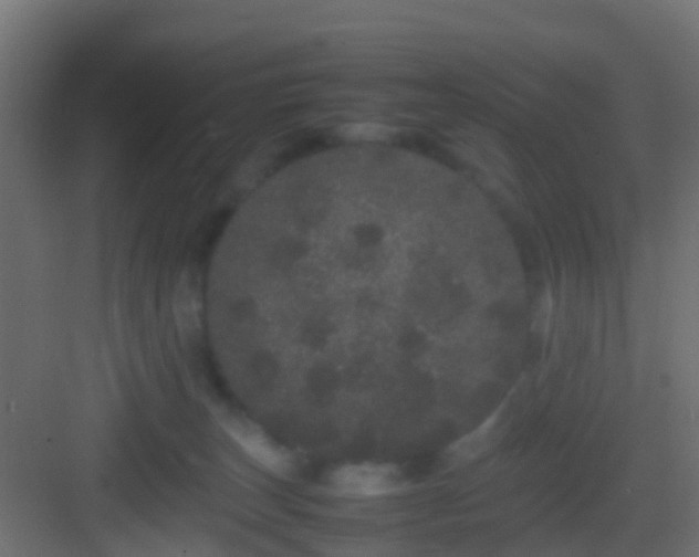 X0000082940179200702081633