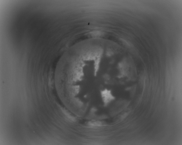 X0000082940181200702081633