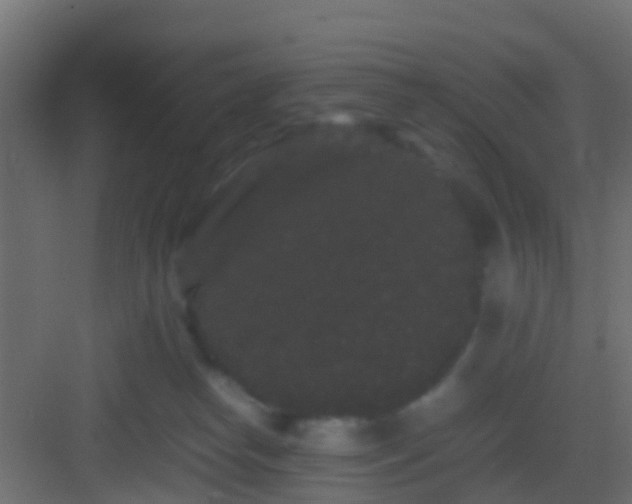 X0000082940182200702081633