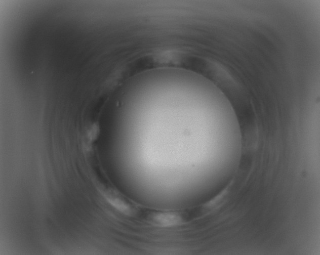 X0000082940183200702081633