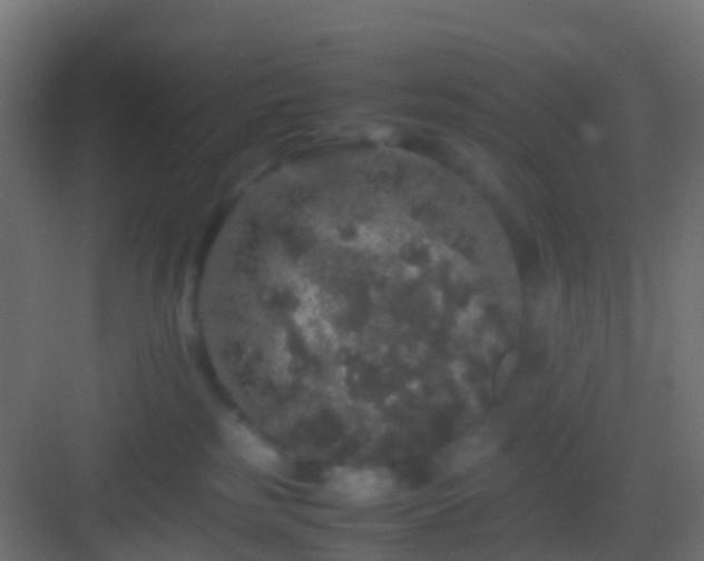 X0000082940185200702081633