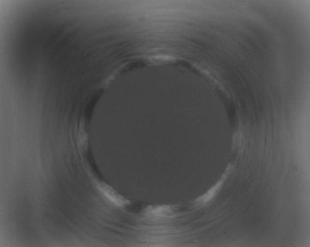 X0000082940186200702081633