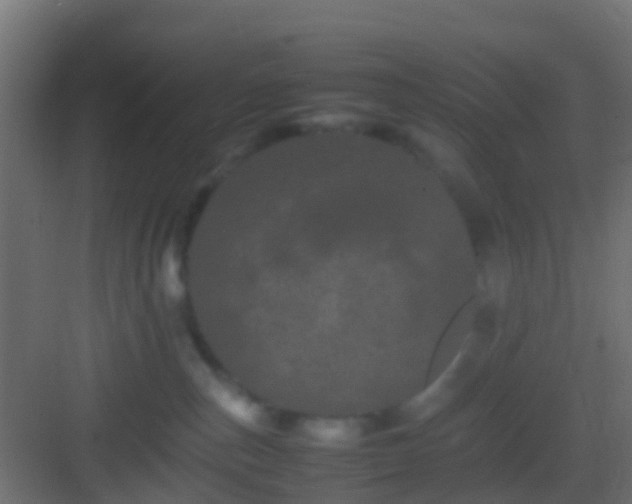 X0000082940187200702081633