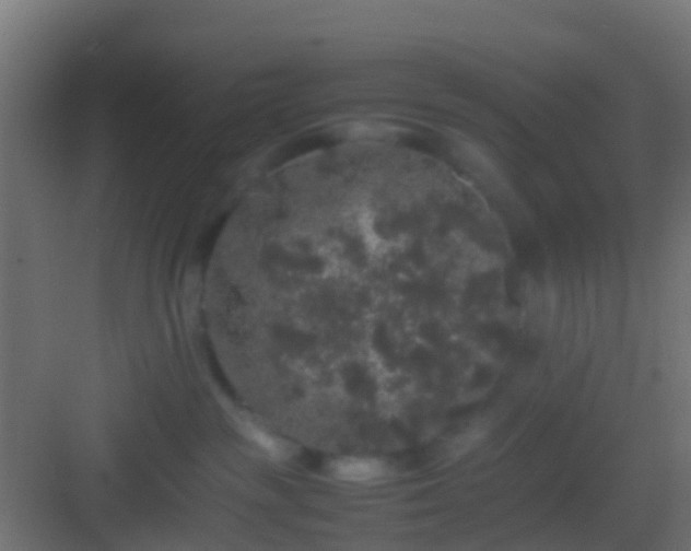 X0000082940189200702081633