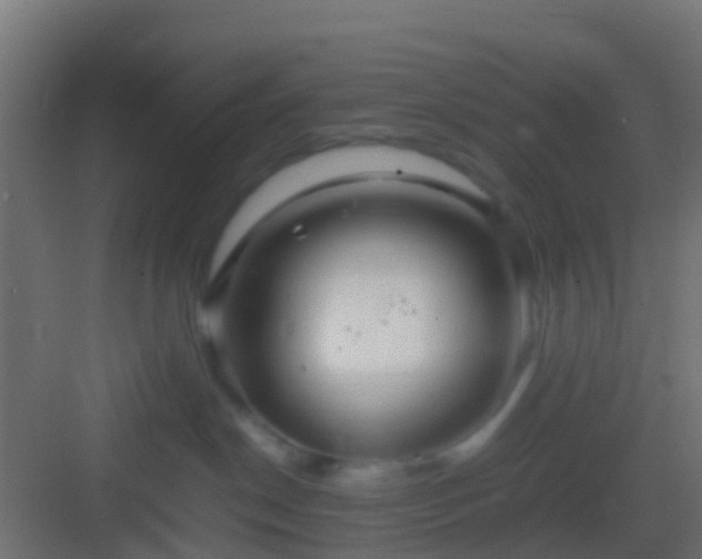 X0000082940190200702081633