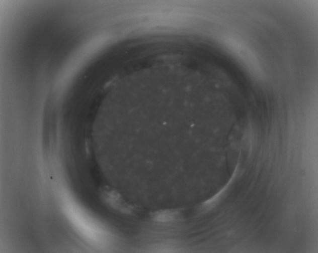 X0000082940191200702081633