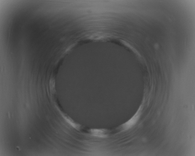 X0000082940192200702081633