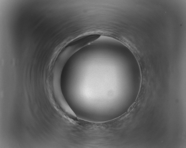 X0000082940193200702081632