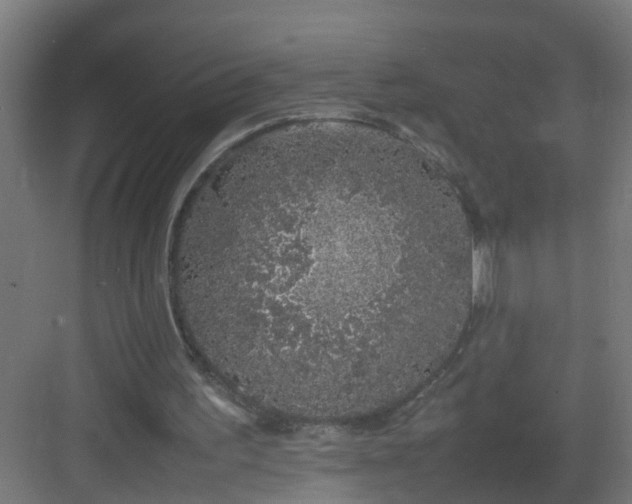 X0000082940195200702081632